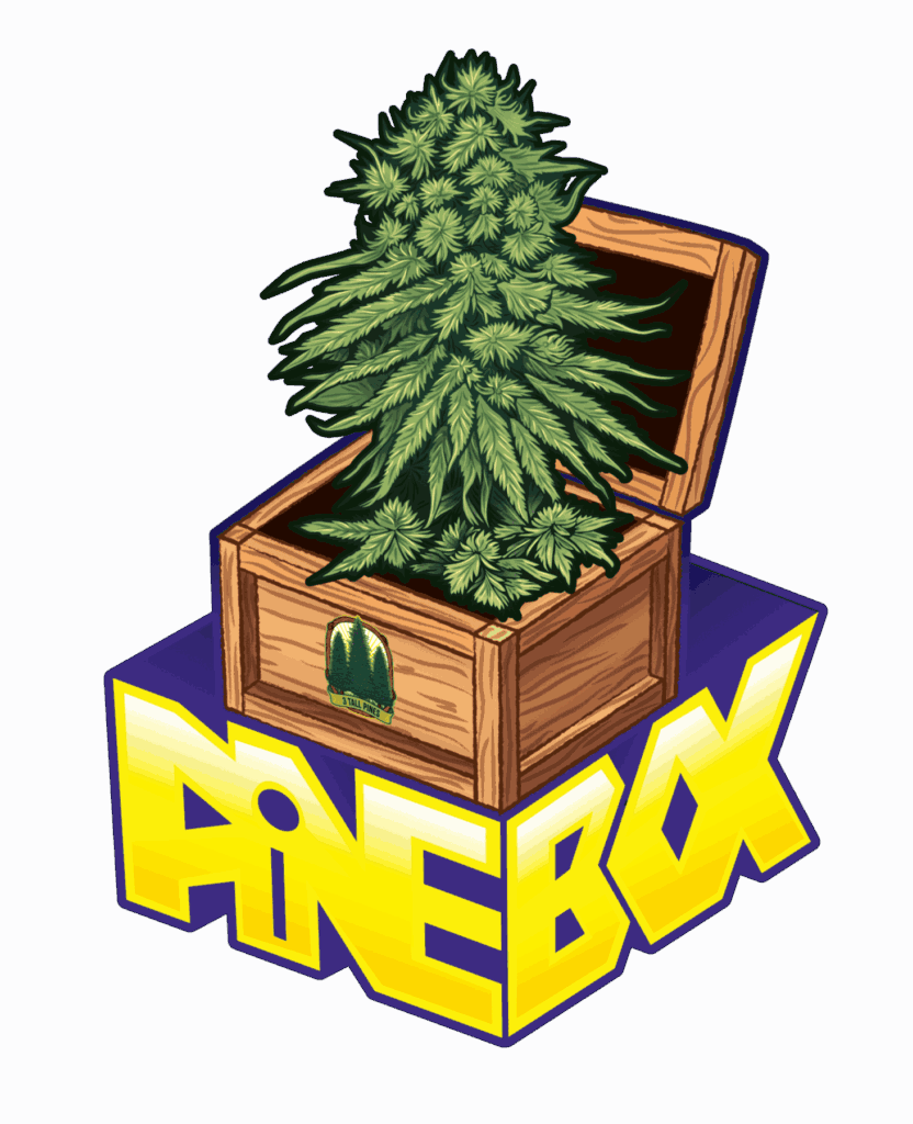 pinebox logo concept 2 01