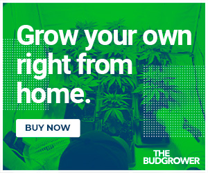 budgrower grow your own