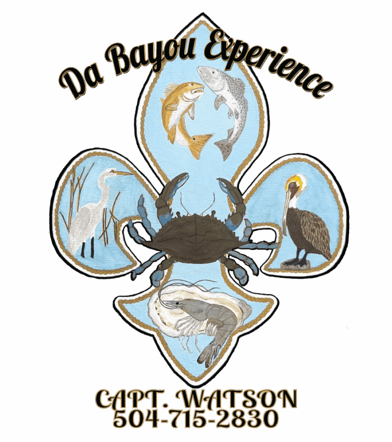 da bayou first section 1 768x867