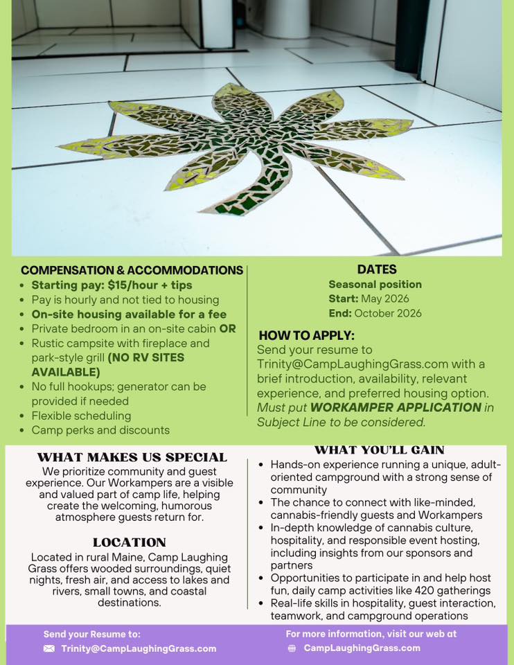 camp laughing grass job posting