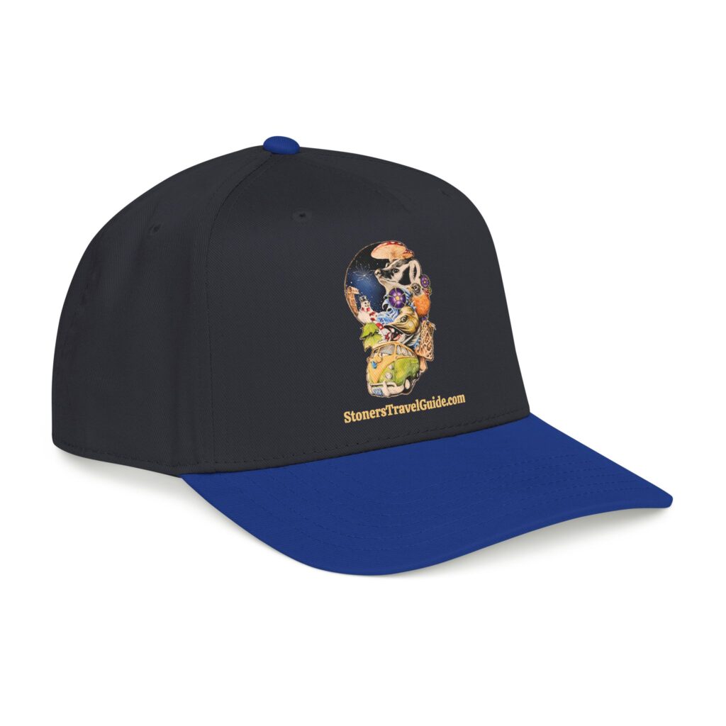 the stoner's travel guide to wisconsin baseball cap — vintage embroidered hat