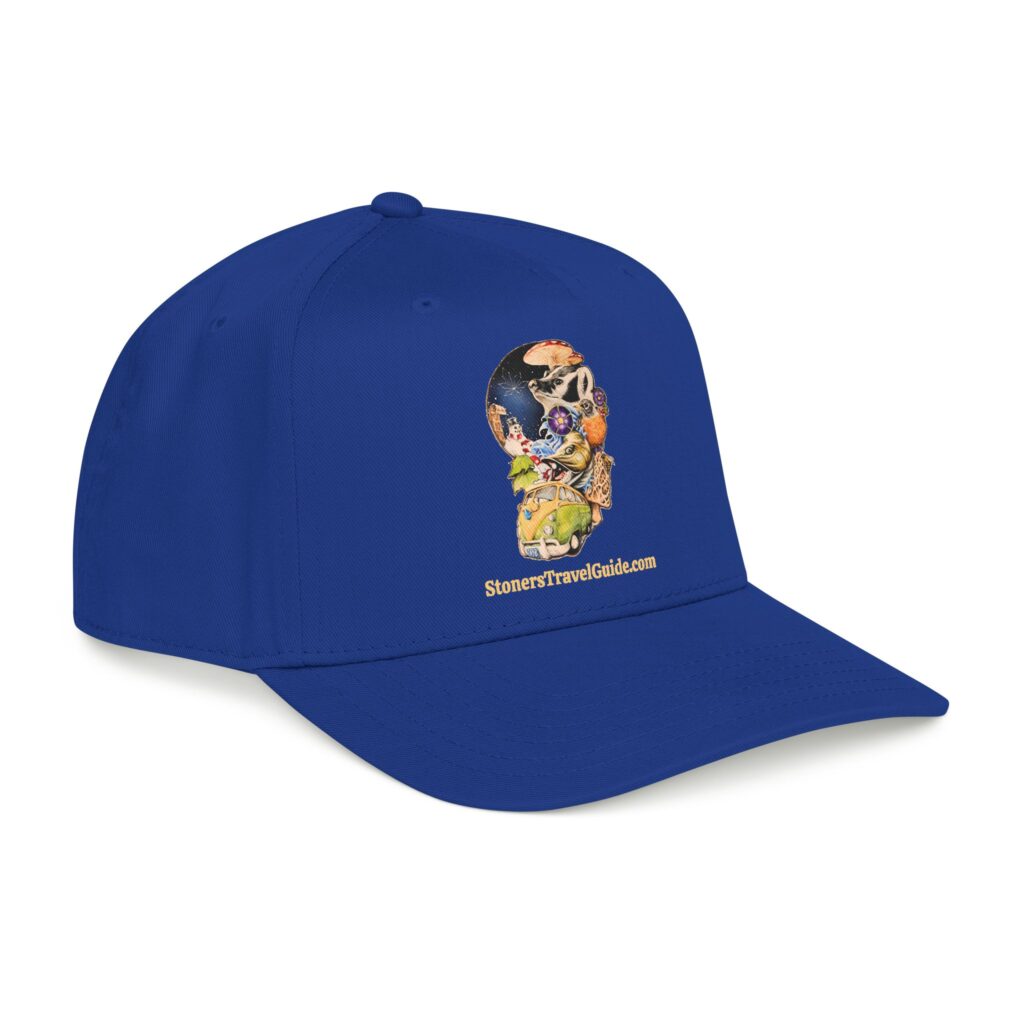 the stoner's travel guide to wisconsin baseball cap — vintage embroidered hat