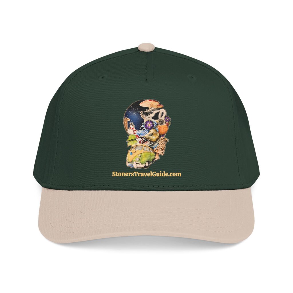 the stoner's travel guide to wisconsin baseball cap — vintage embroidered hat