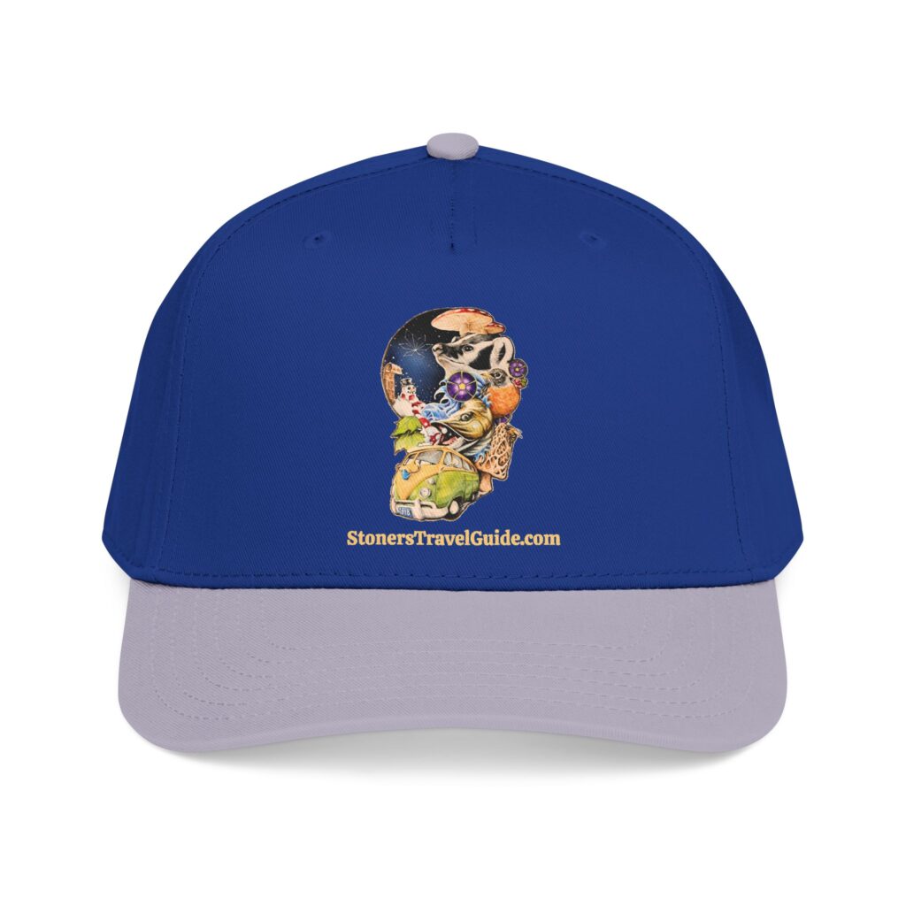 the stoner's travel guide to wisconsin baseball cap — vintage embroidered hat