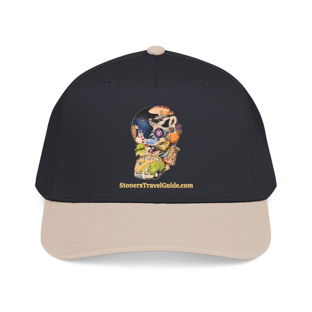 the stoner's travel guide to wisconsin baseball cap — vintage embroidered hat
