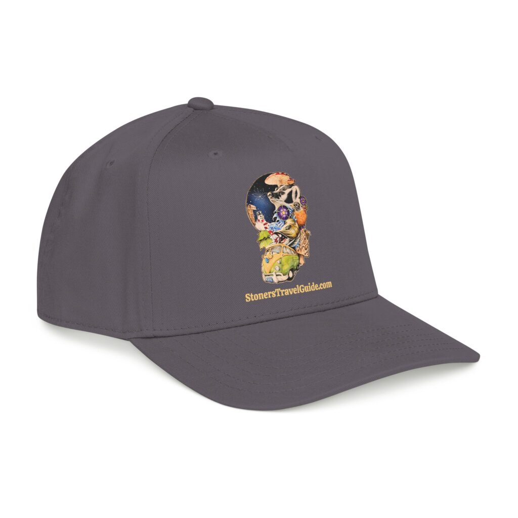 the stoner's travel guide to wisconsin baseball cap — vintage embroidered hat