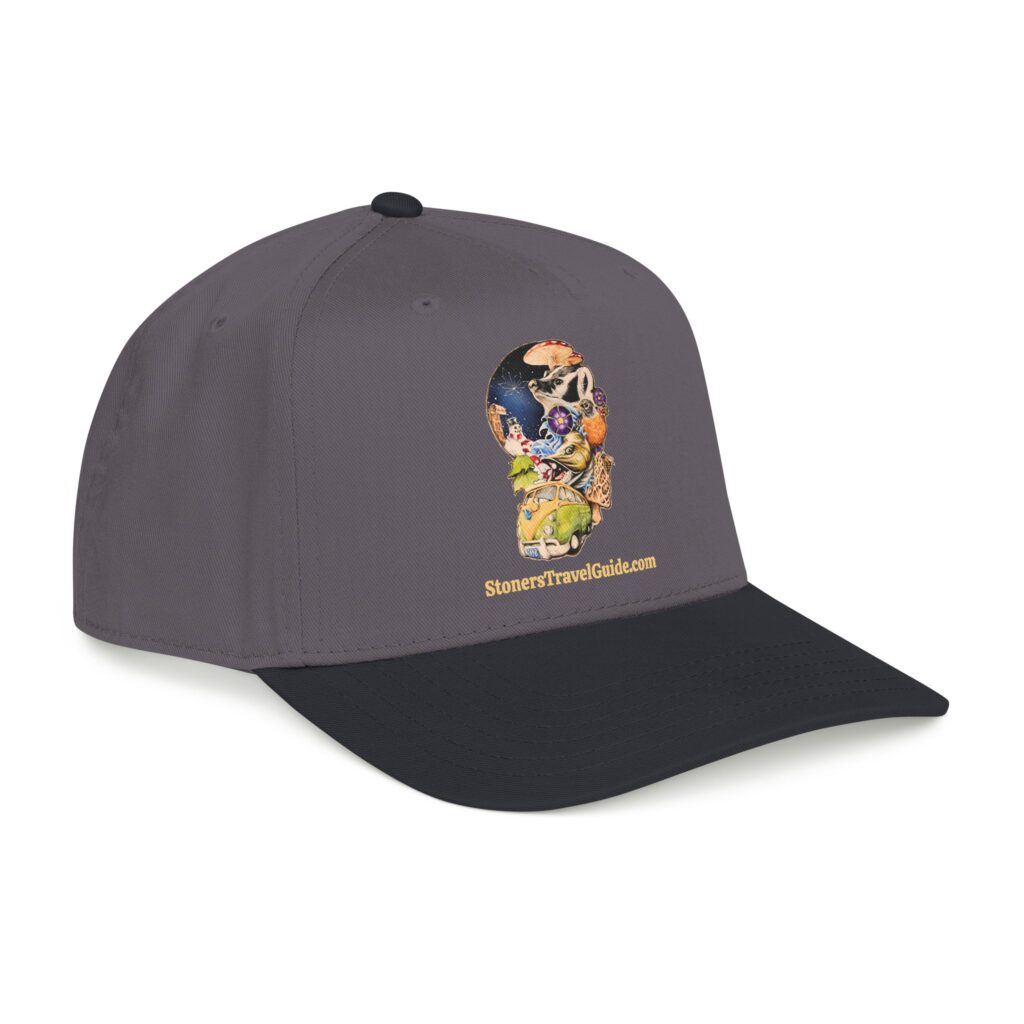 the stoner's travel guide to wisconsin baseball cap — vintage embroidered hat