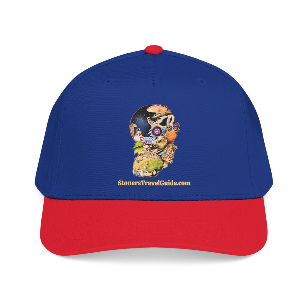 the stoner's travel guide to wisconsin baseball cap — vintage embroidered hat