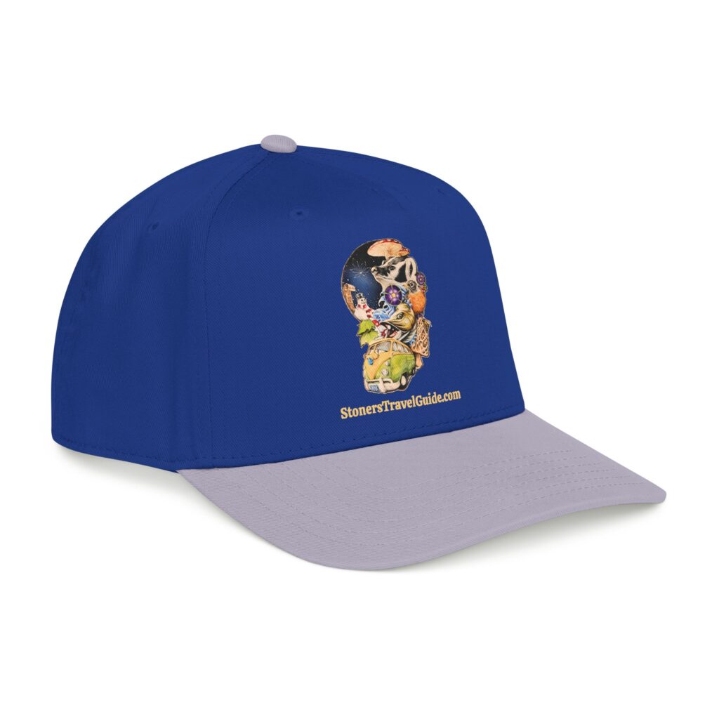 the stoner's travel guide to wisconsin baseball cap — vintage embroidered hat