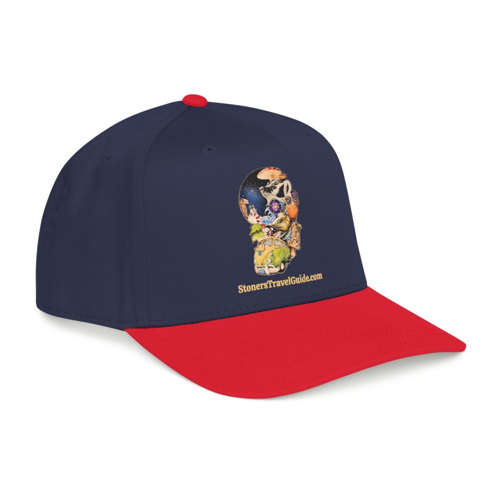 the stoner's travel guide to wisconsin baseball cap — vintage embroidered hat