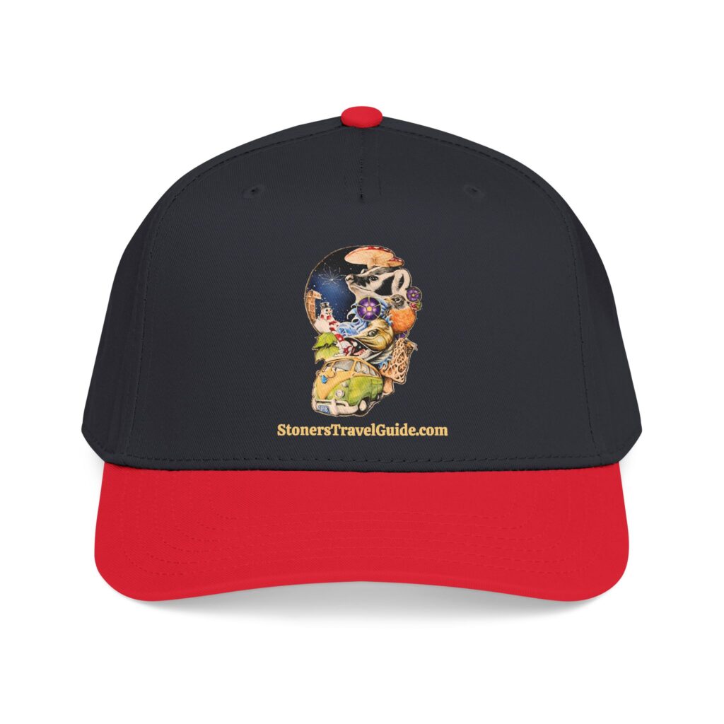 the stoner's travel guide to wisconsin baseball cap — vintage embroidered hat