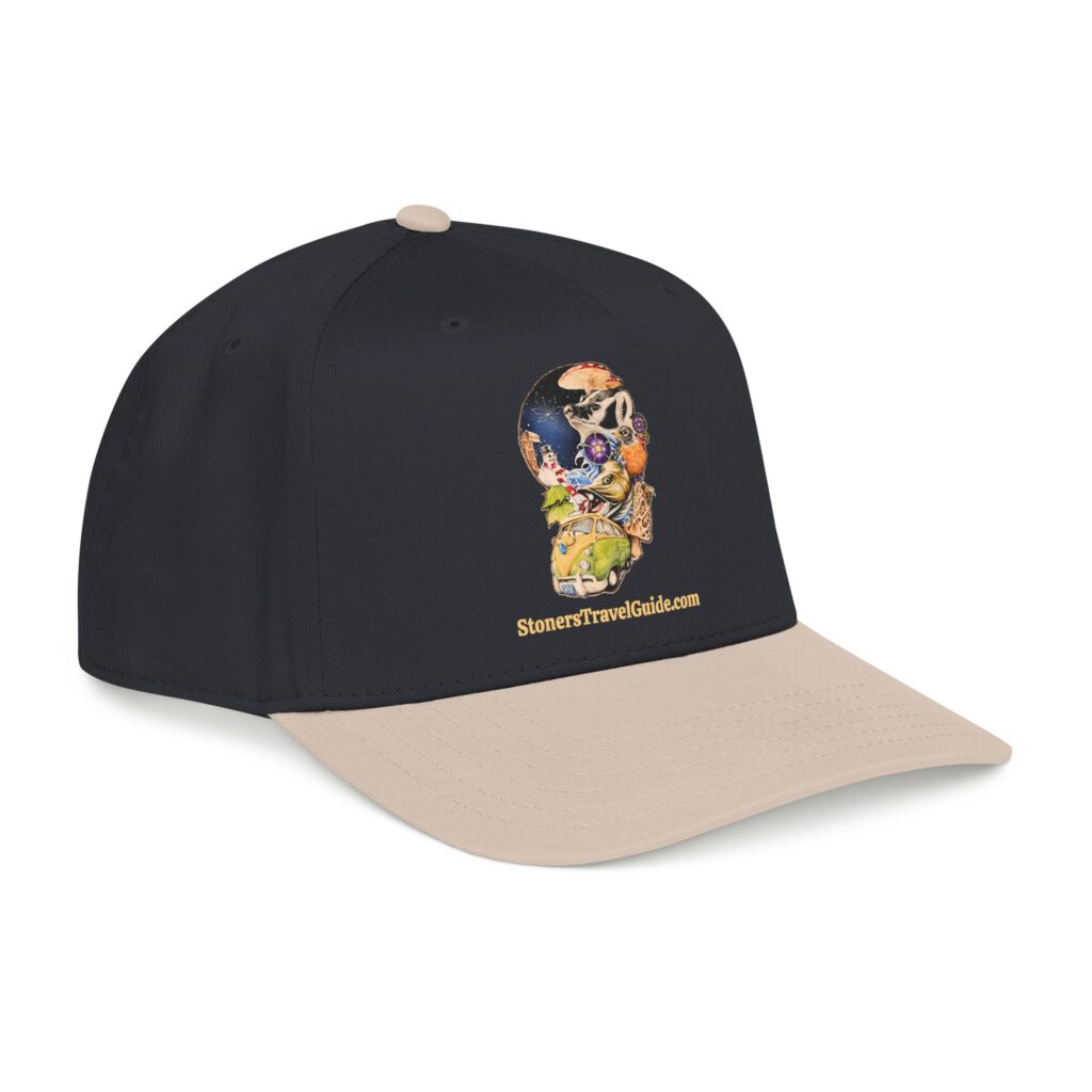 the stoner's travel guide to wisconsin baseball cap — vintage embroidered hat