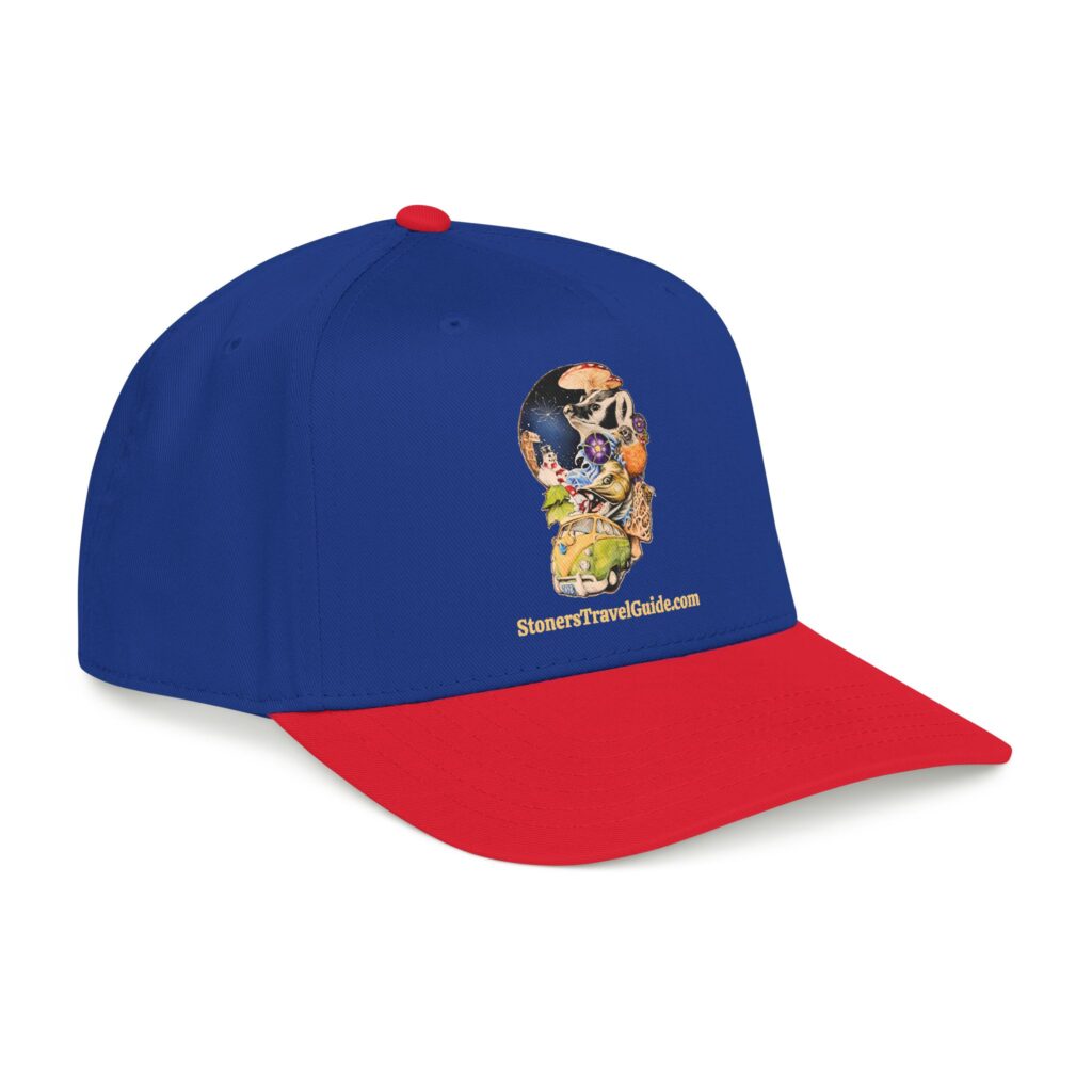 the stoner's travel guide to wisconsin baseball cap — vintage embroidered hat