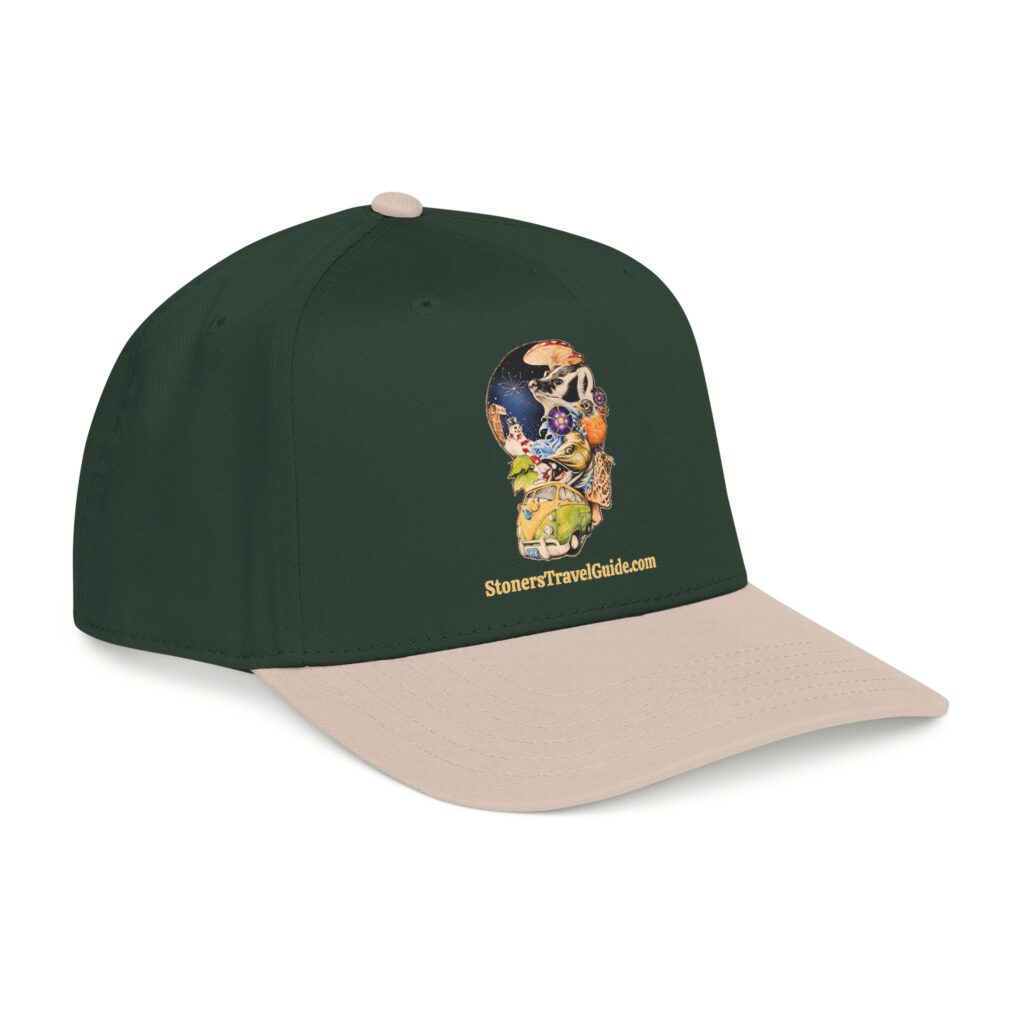 the stoner's travel guide to wisconsin baseball cap — vintage embroidered hat