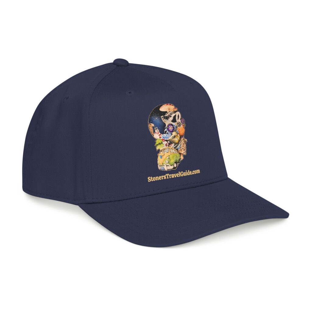 the stoner's travel guide to wisconsin baseball cap — vintage embroidered hat