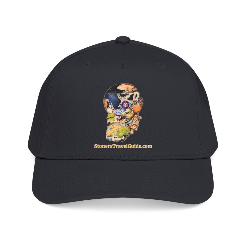 the stoner's travel guide to wisconsin baseball cap — vintage embroidered hat