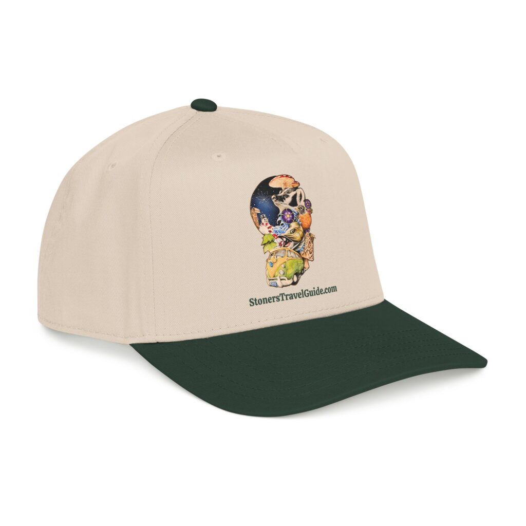 the stoner's travel guide to wisconsin baseball cap — vintage embroidered hat