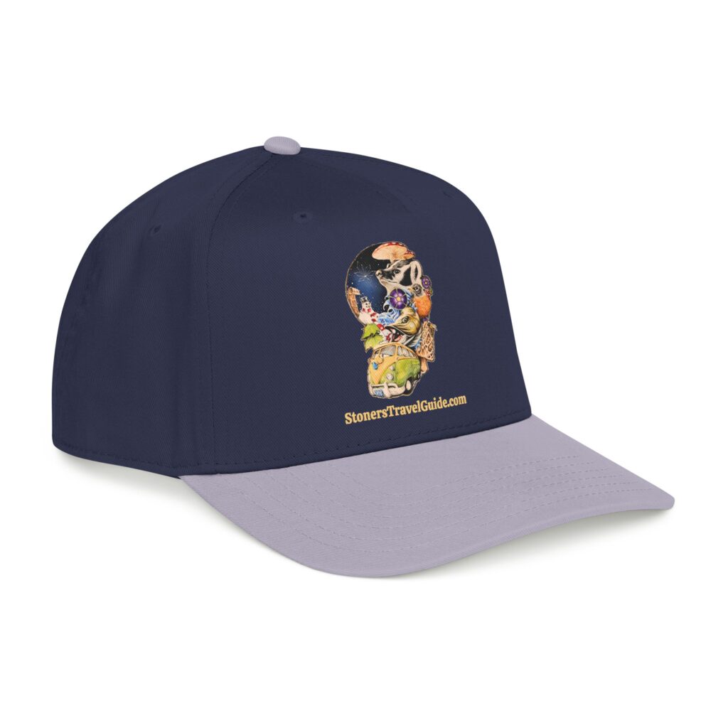 the stoner's travel guide to wisconsin baseball cap — vintage embroidered hat