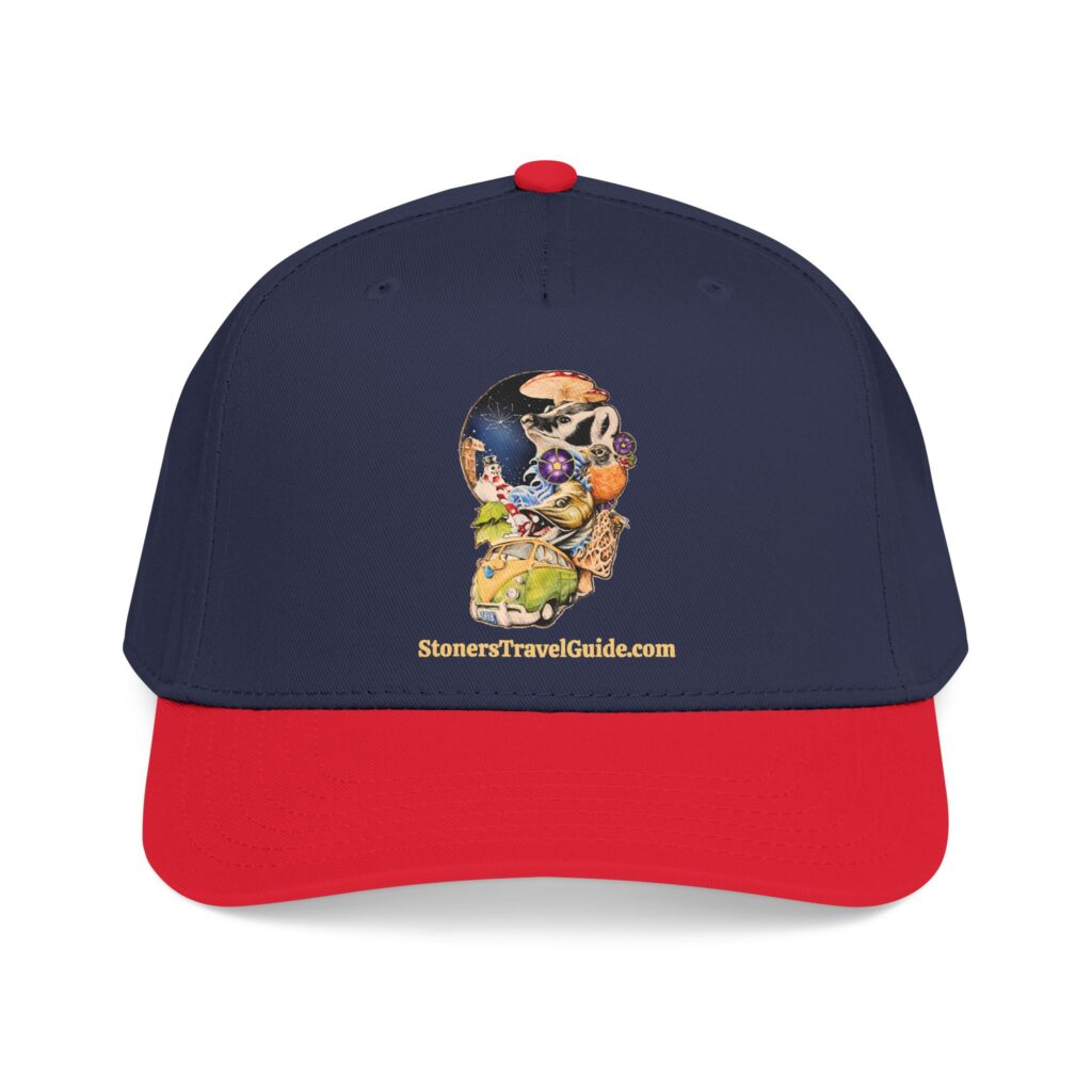 the stoner's travel guide to wisconsin baseball cap — vintage embroidered hat