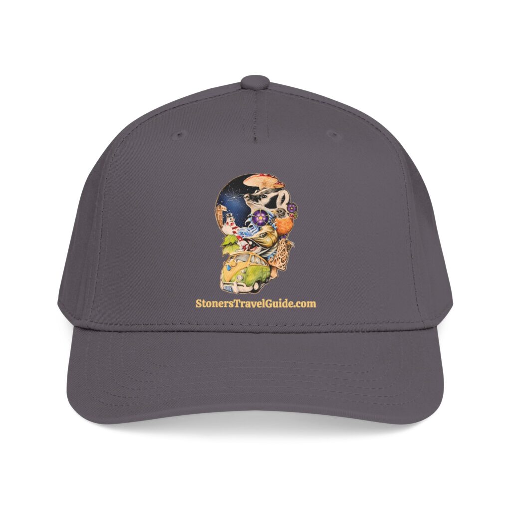 the stoner's travel guide to wisconsin baseball cap — vintage embroidered hat