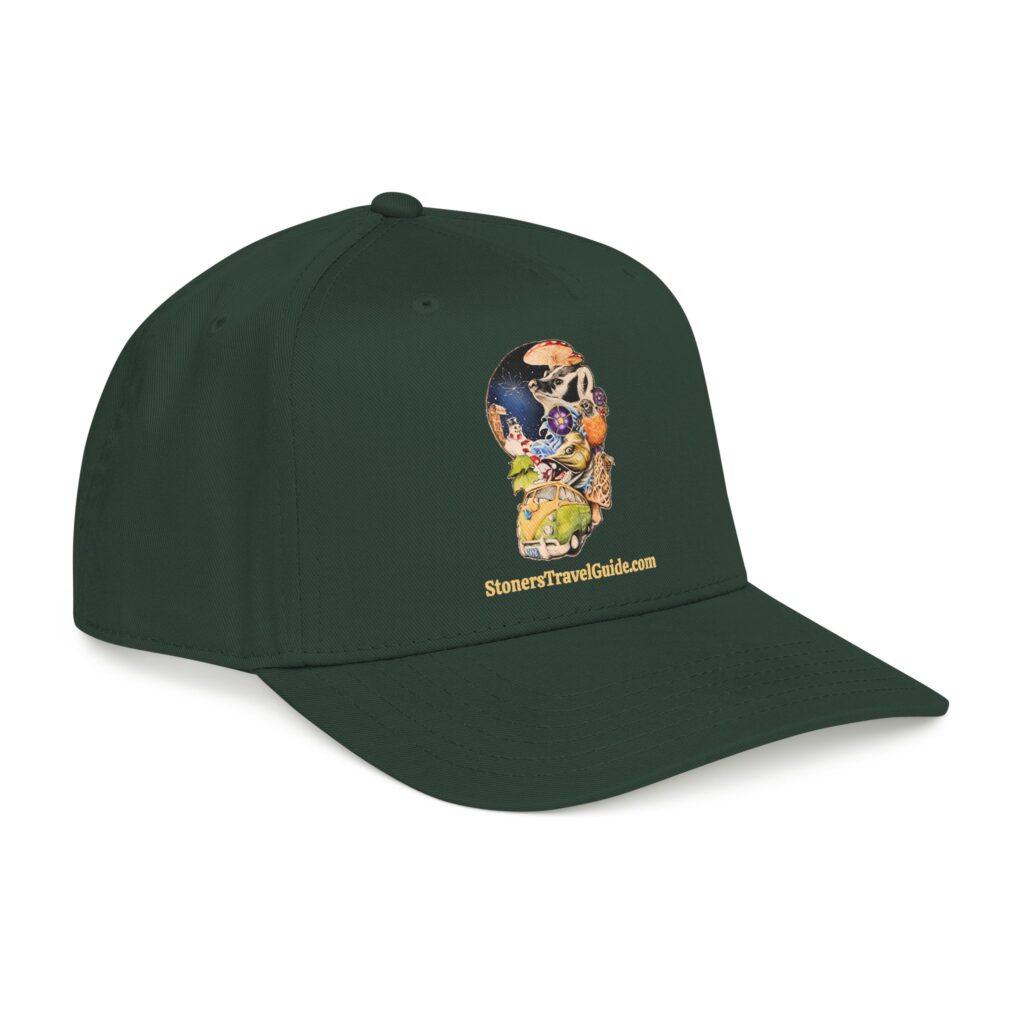 the stoner's travel guide to wisconsin baseball cap — vintage embroidered hat