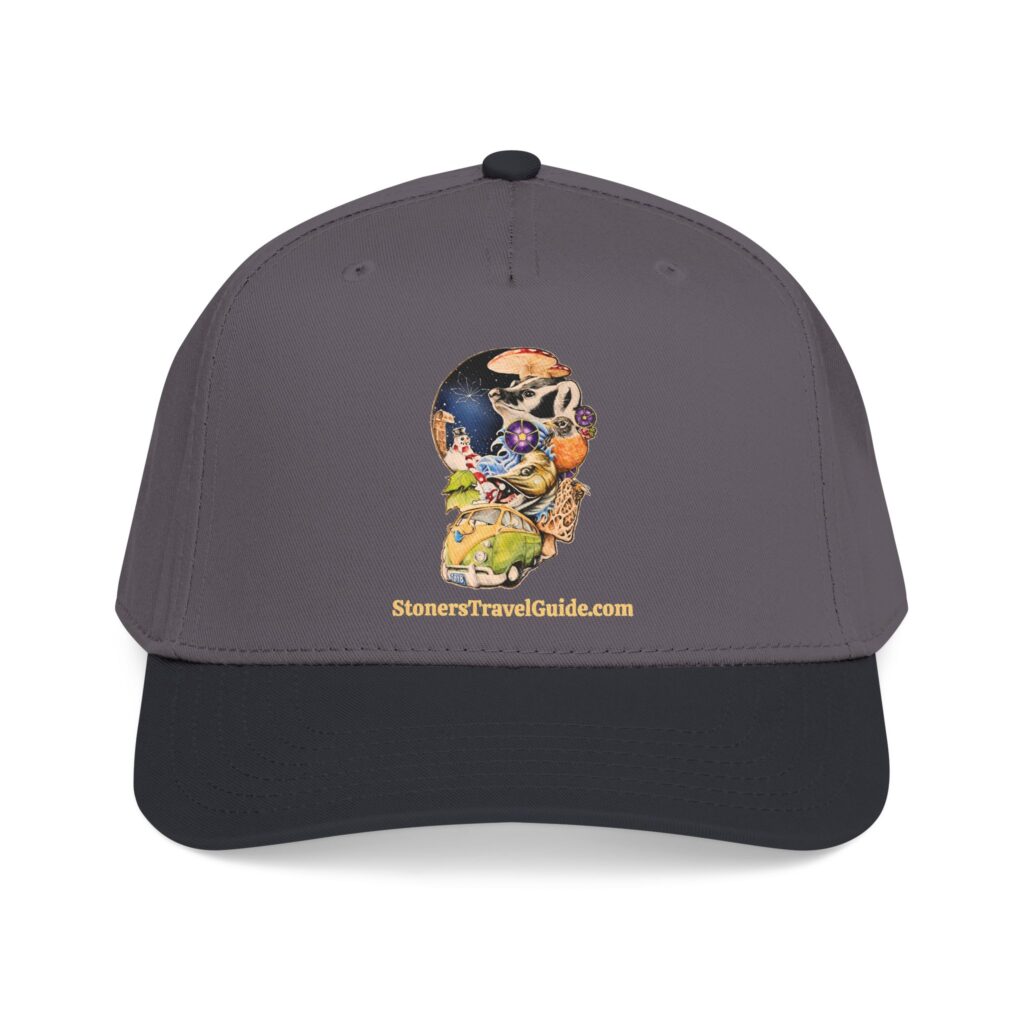 the stoner's travel guide to wisconsin baseball cap — vintage embroidered hat
