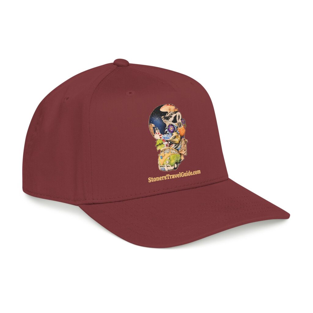 the stoner's travel guide to wisconsin baseball cap — vintage embroidered hat