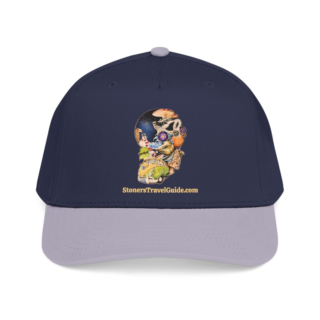 the stoner's travel guide to wisconsin baseball cap — vintage embroidered hat