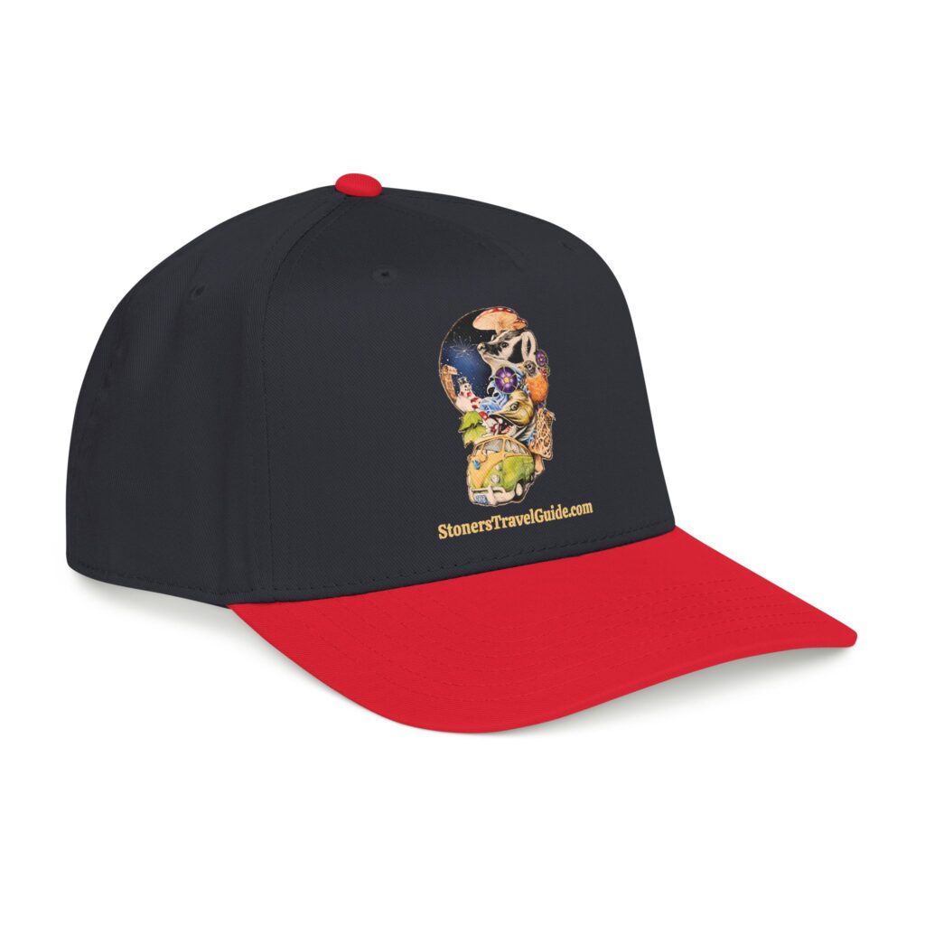the stoner's travel guide to wisconsin baseball cap — vintage embroidered hat