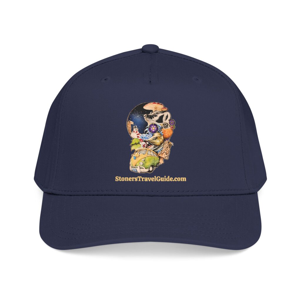 the stoner's travel guide to wisconsin baseball cap — vintage embroidered hat