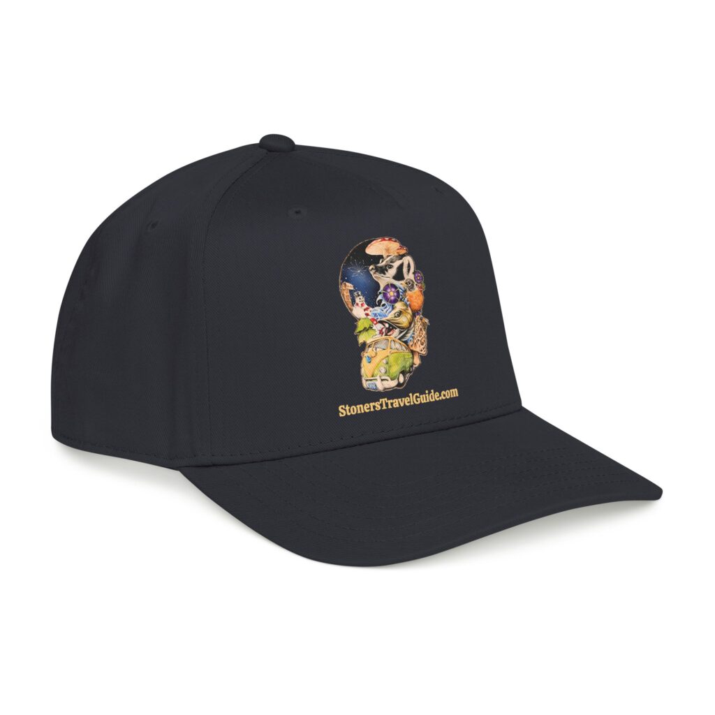 the stoner's travel guide to wisconsin baseball cap — vintage embroidered hat