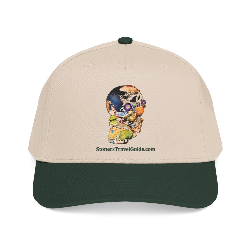 the stoner's travel guide to wisconsin baseball cap — vintage embroidered hat