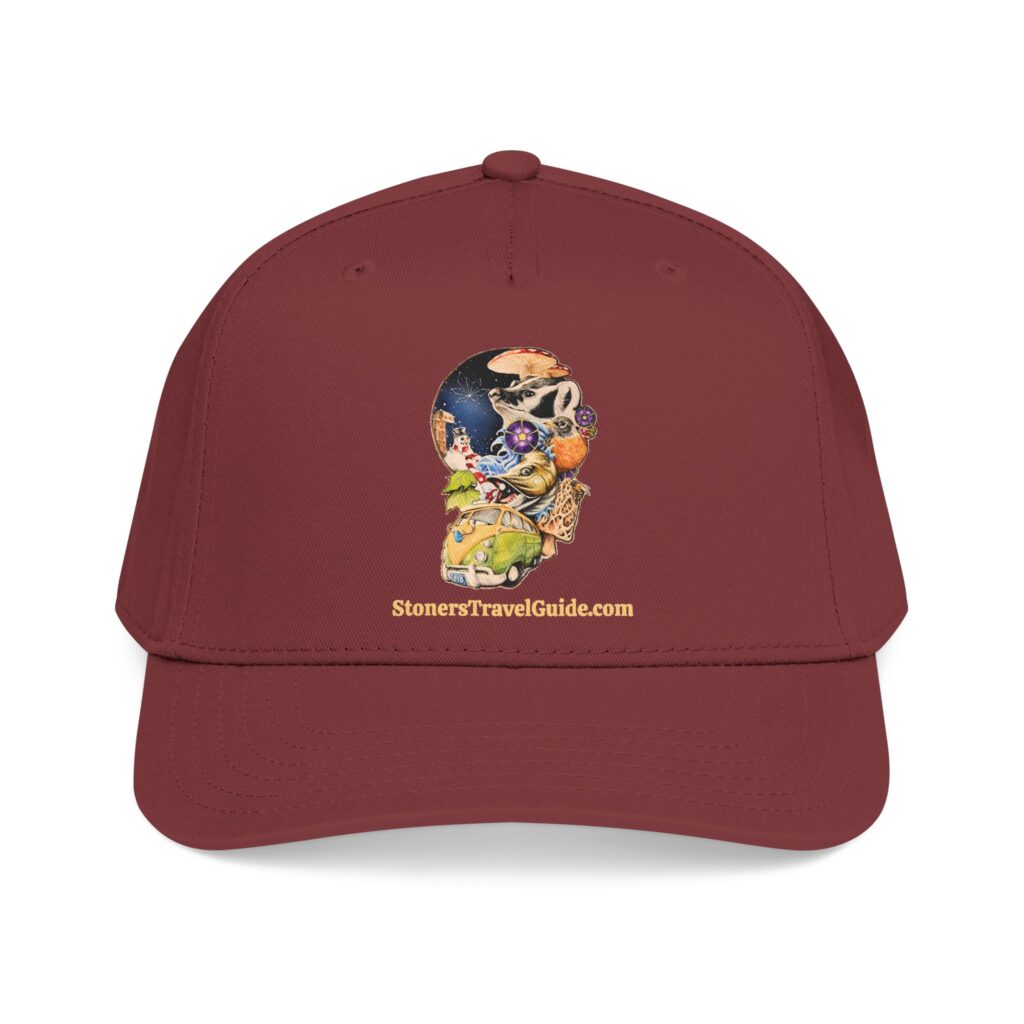 the stoner's travel guide to wisconsin baseball cap — vintage embroidered hat