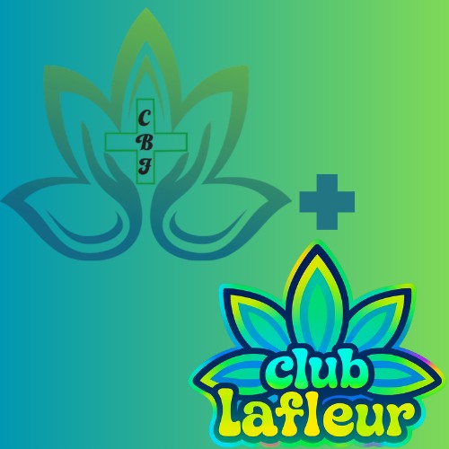 canna bloom and club lafluer 1