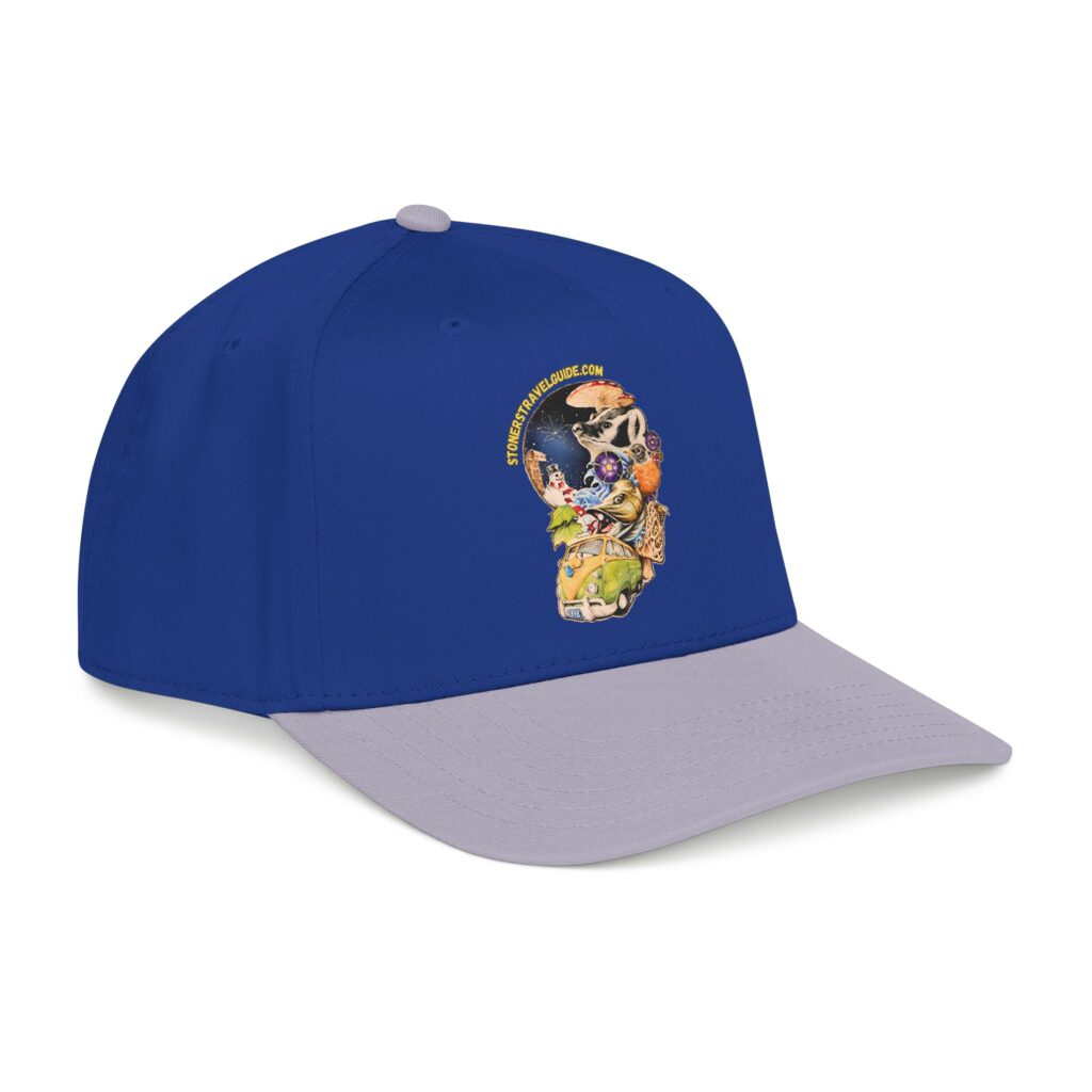 the stoner's travel guide to wisconsin branded baseball cap — vintage embroidered hat