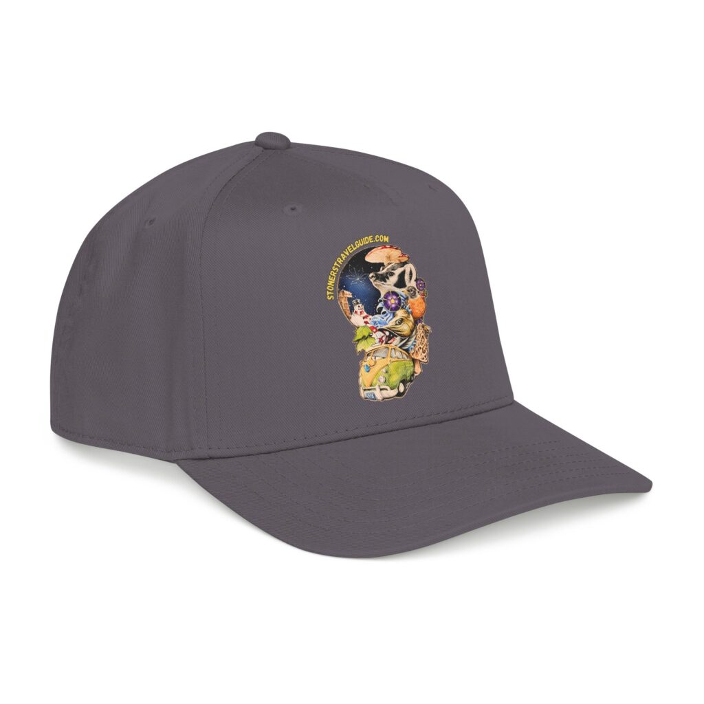 the stoner's travel guide to wisconsin branded baseball cap — vintage embroidered hat