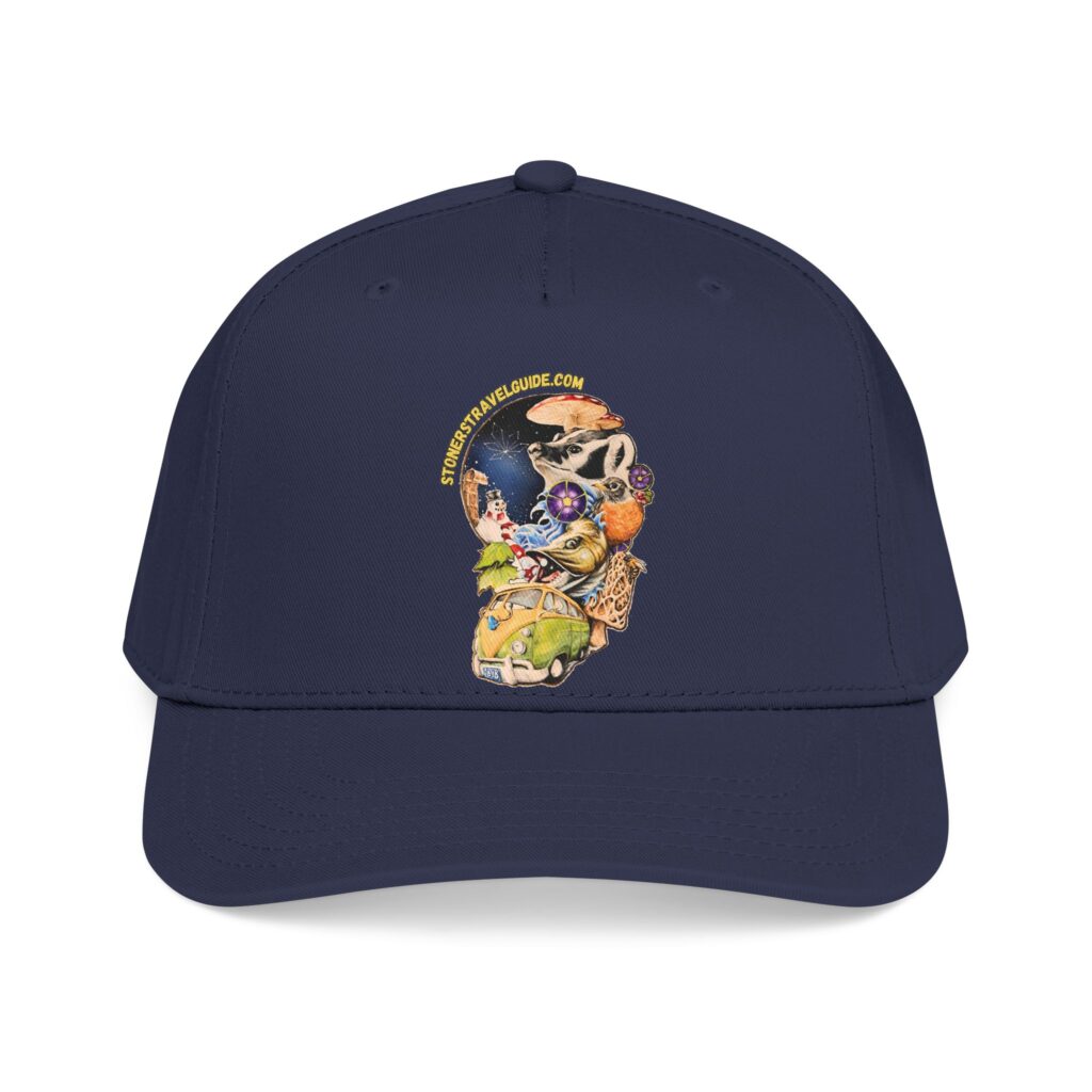 the stoner's travel guide to wisconsin branded baseball cap — vintage embroidered hat