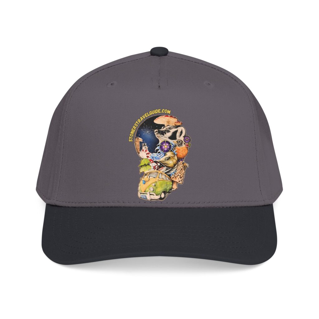 the stoner's travel guide to wisconsin branded baseball cap — vintage embroidered hat