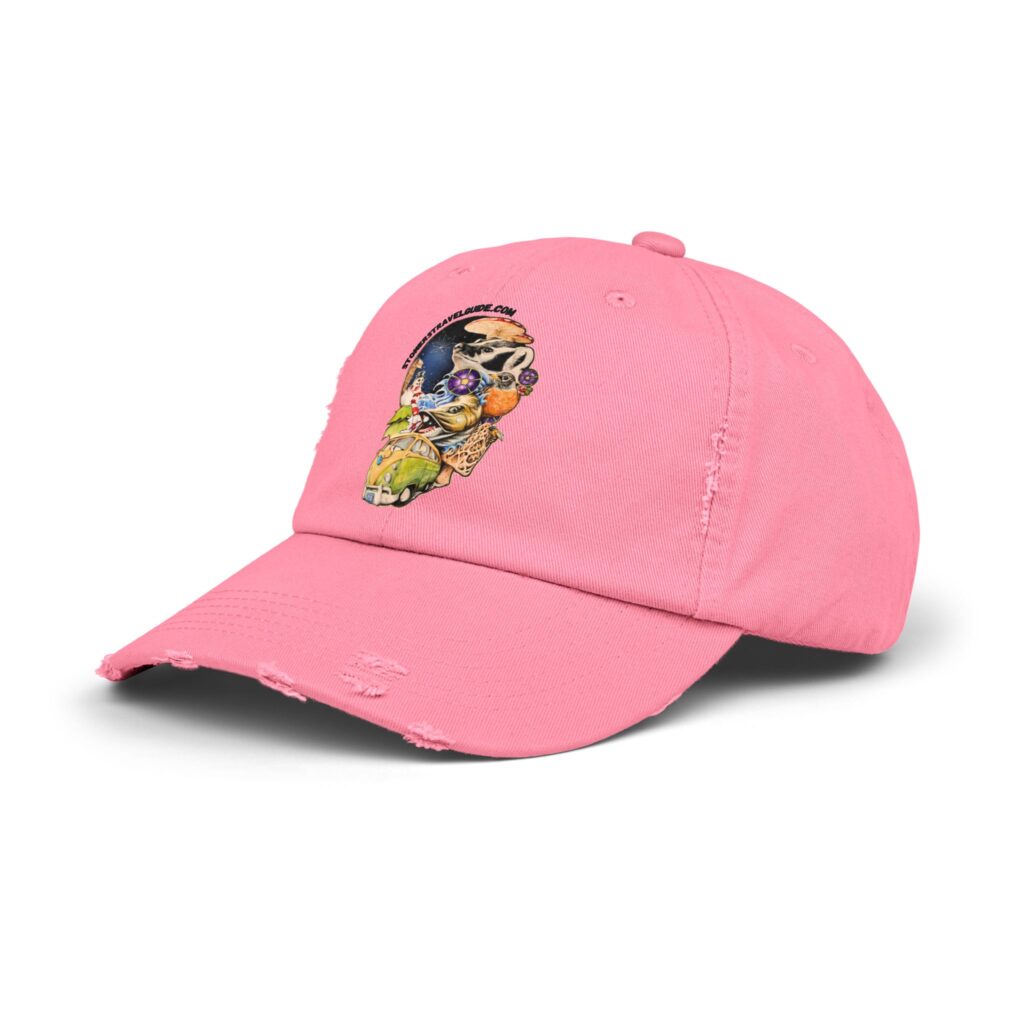 the stoner's travel guide to wisconsin unisex distressed cap