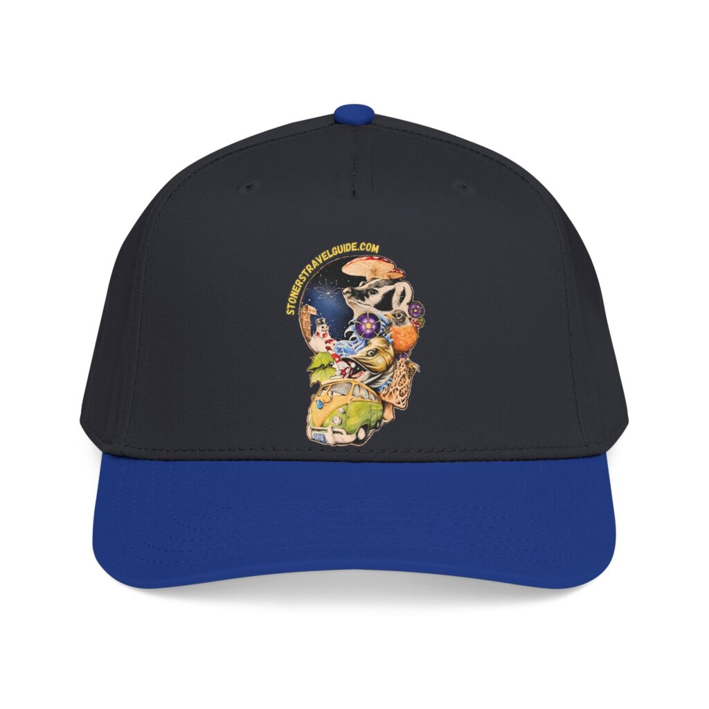 the stoner's travel guide to wisconsin branded baseball cap — vintage embroidered hat