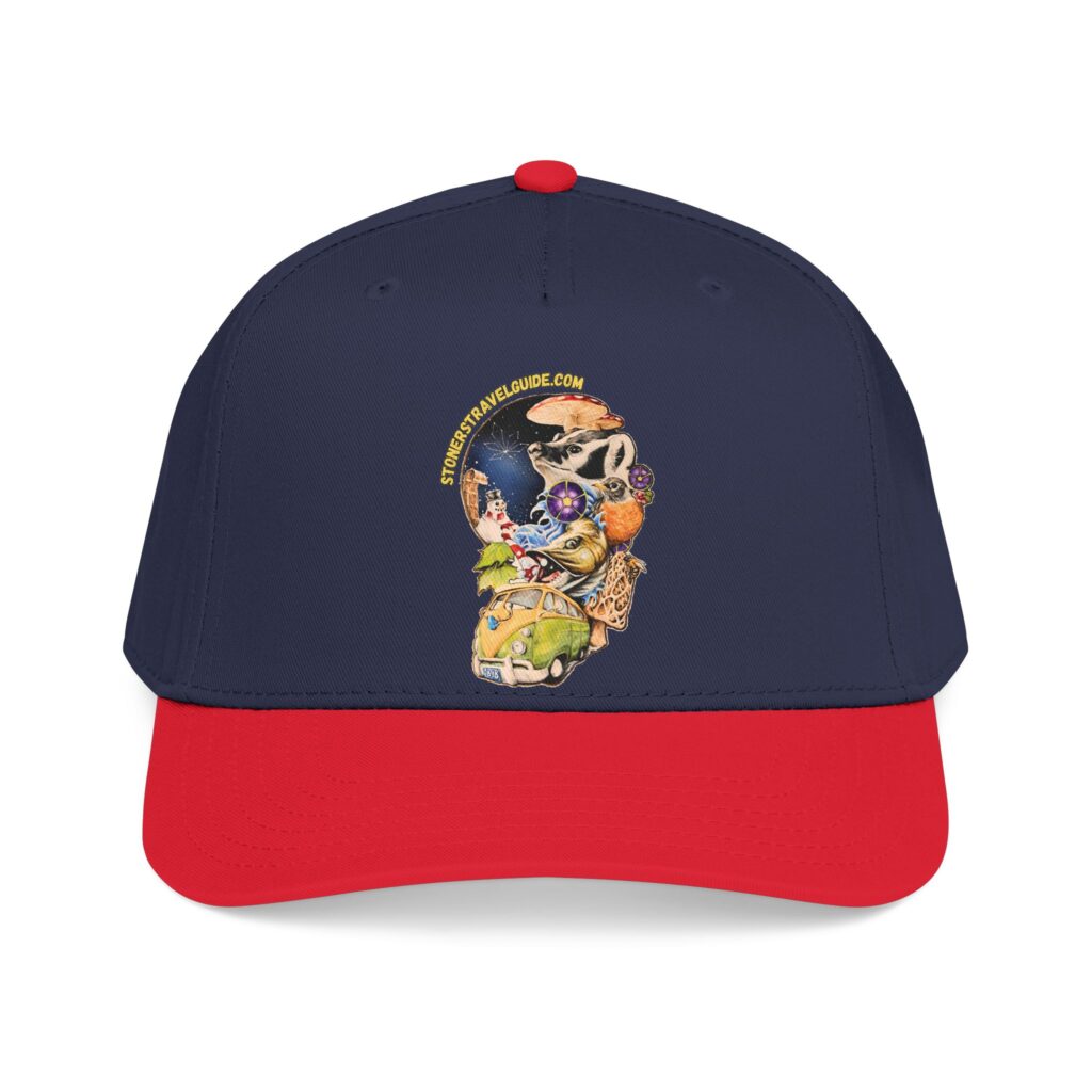 the stoner's travel guide to wisconsin branded baseball cap — vintage embroidered hat
