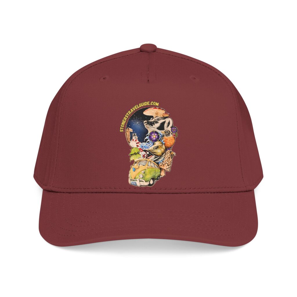the stoner's travel guide to wisconsin branded baseball cap — vintage embroidered hat
