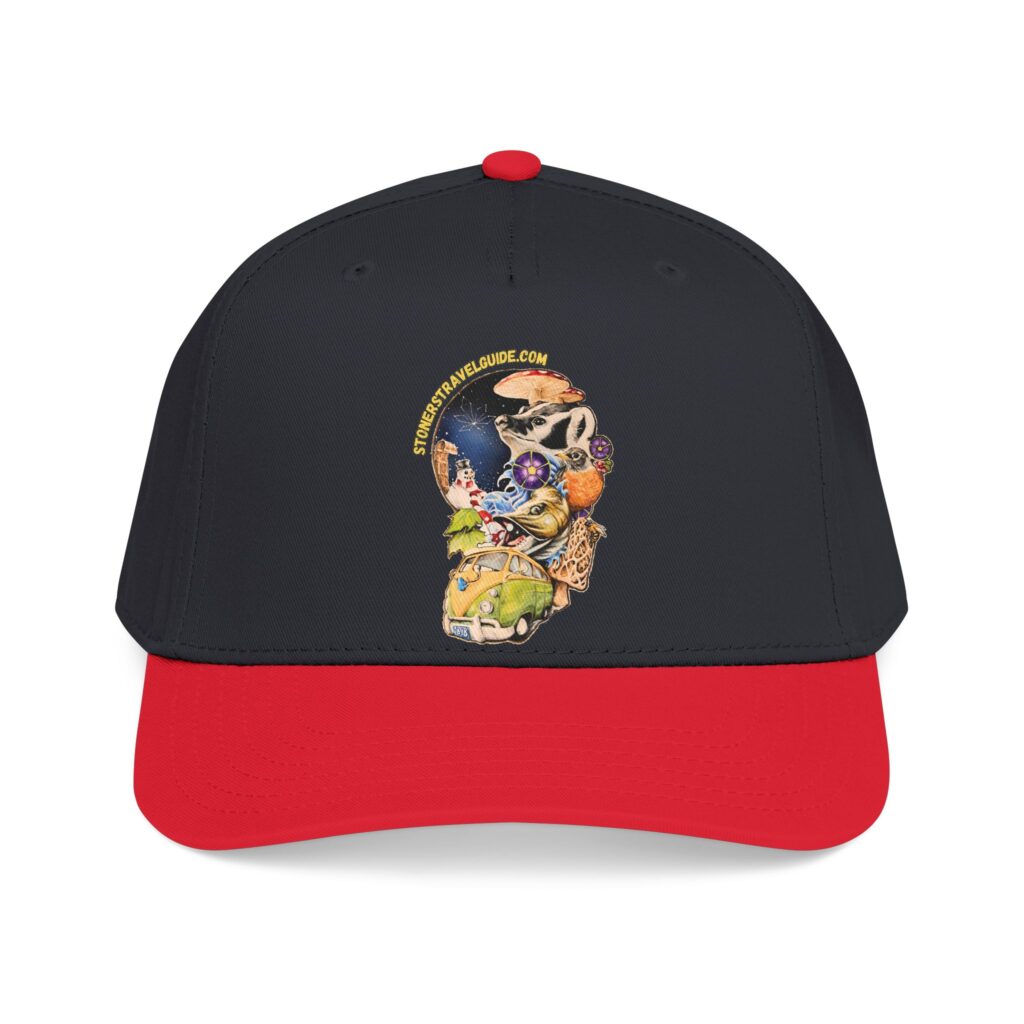 the stoner's travel guide to wisconsin branded baseball cap — vintage embroidered hat