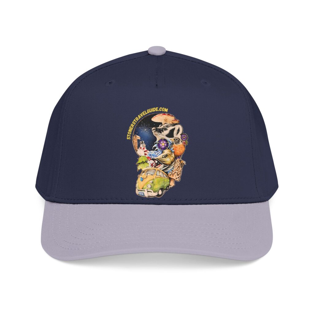 the stoner's travel guide to wisconsin branded baseball cap — vintage embroidered hat
