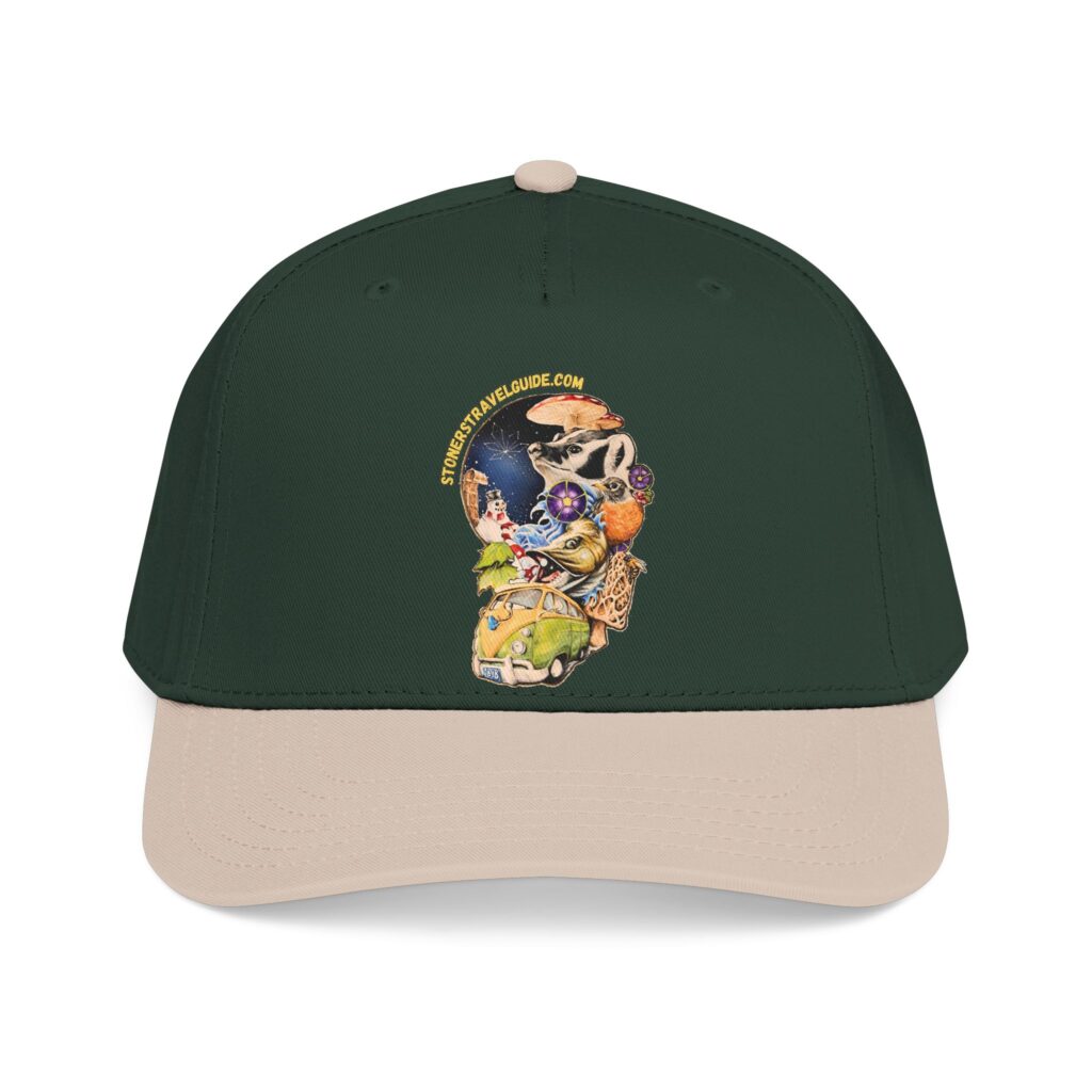 the stoner's travel guide to wisconsin branded baseball cap — vintage embroidered hat