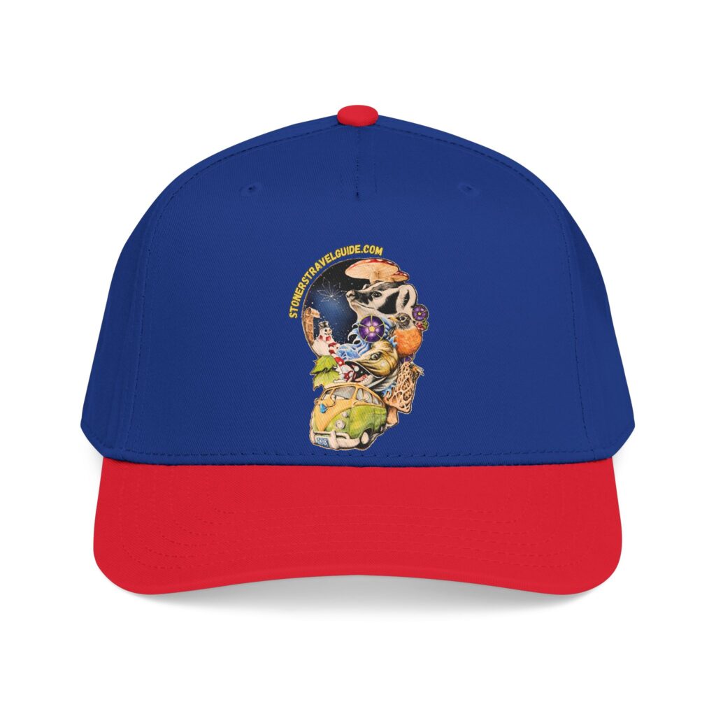 the stoner's travel guide to wisconsin branded baseball cap — vintage embroidered hat