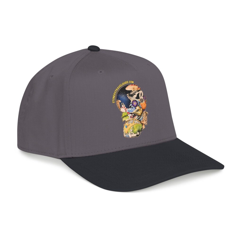 the stoner's travel guide to wisconsin branded baseball cap — vintage embroidered hat