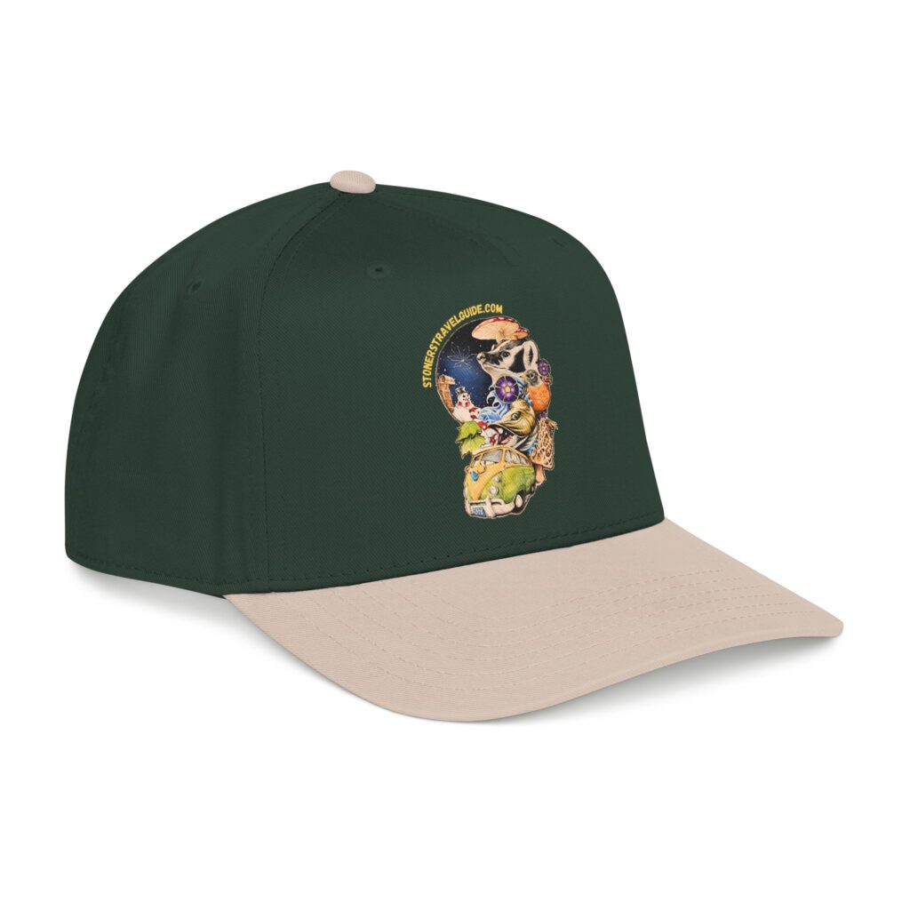 the stoner's travel guide to wisconsin branded baseball cap — vintage embroidered hat