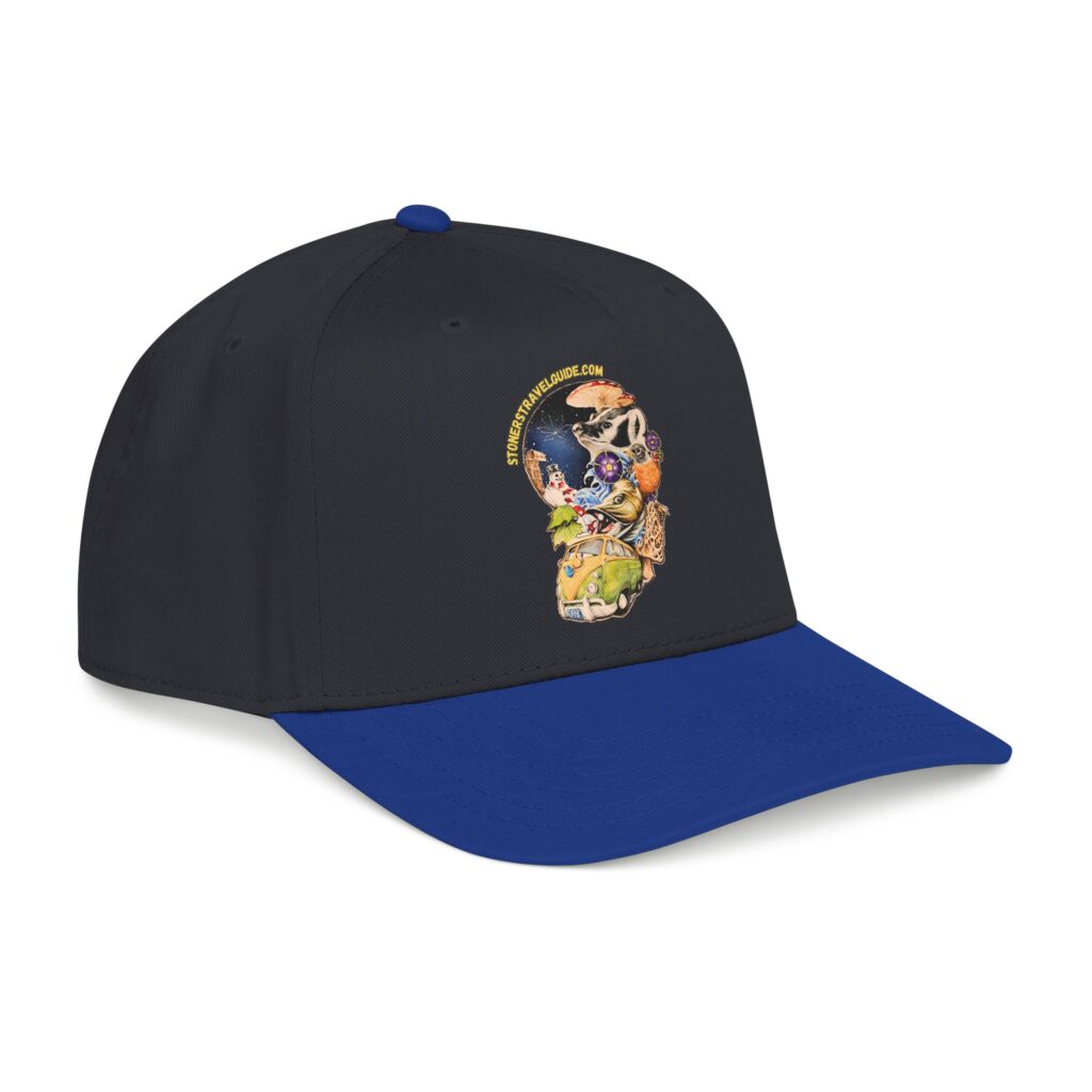 the stoner's travel guide to wisconsin branded baseball cap — vintage embroidered hat