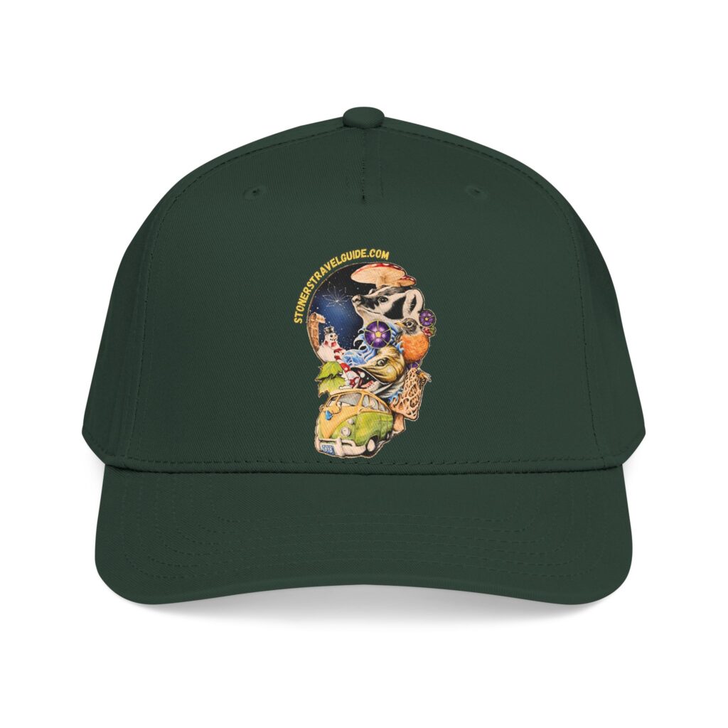 the stoner's travel guide to wisconsin branded baseball cap — vintage embroidered hat